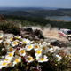 Illustration for article titled Fantasy WRC Preview: Italy